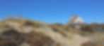 Cape house in dunes.jpg