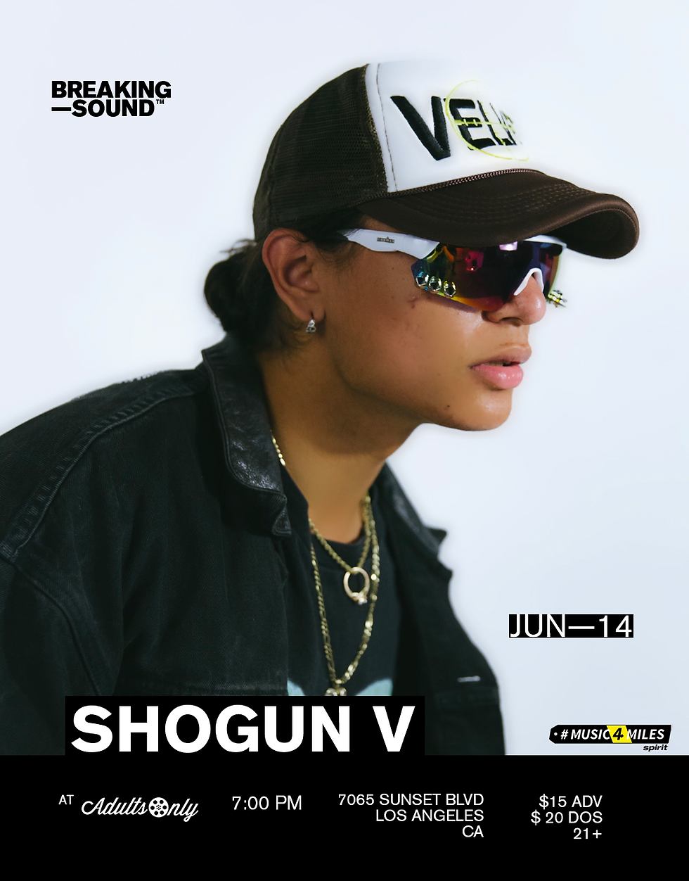 Shogun V: Breaking Sound