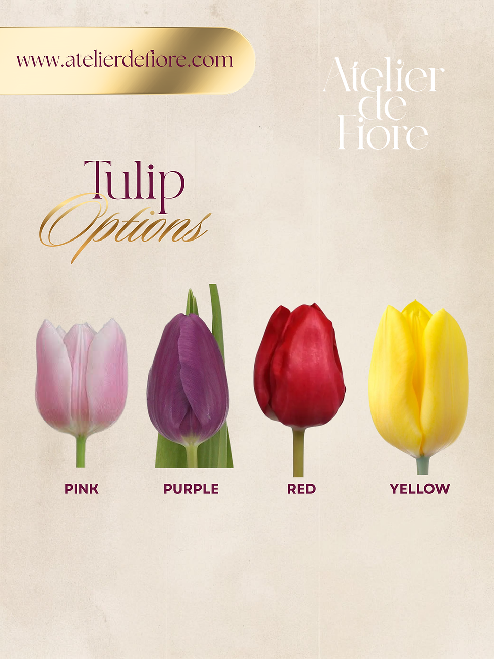 Thumbnail: Tulip Serenade