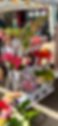 IMG_3859.png