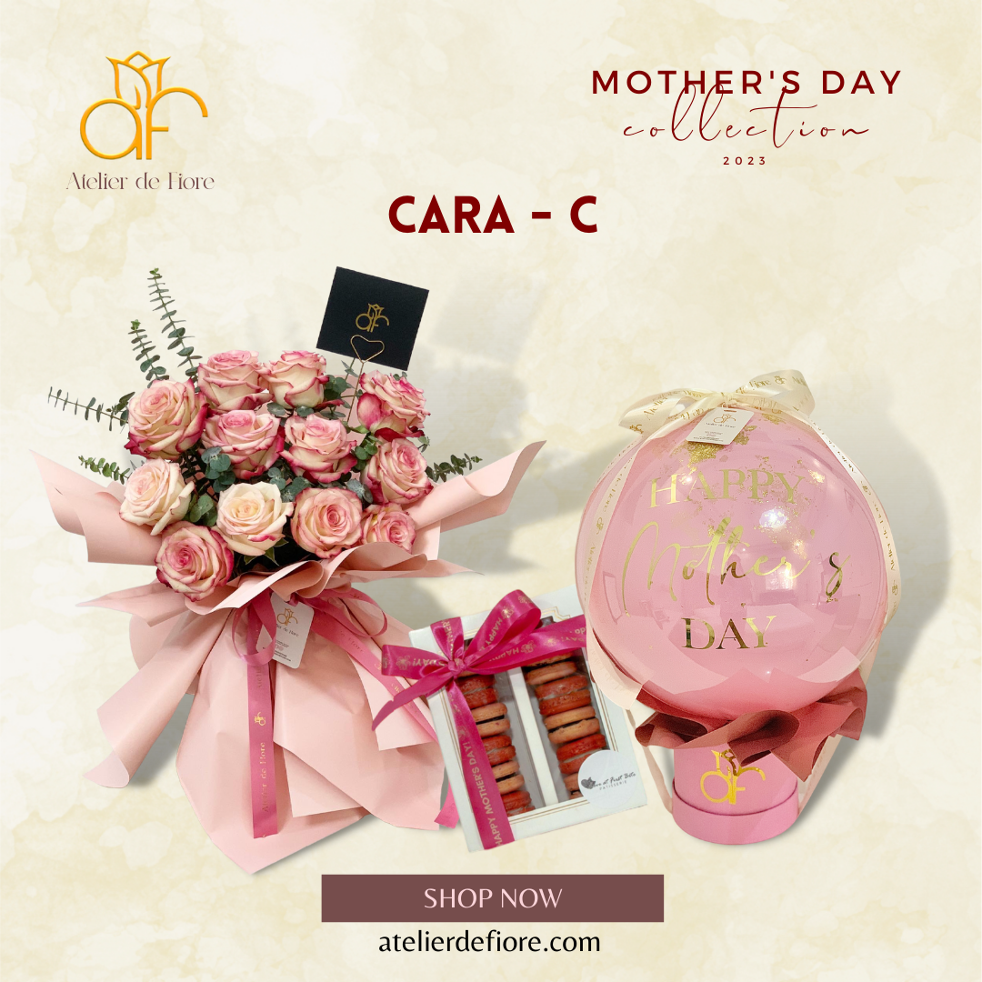 Cara - C ; MOMazing Luxe Bundle