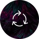 Group 53.png