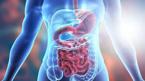 Digestive Problems.jpeg