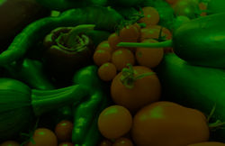 veggies_1