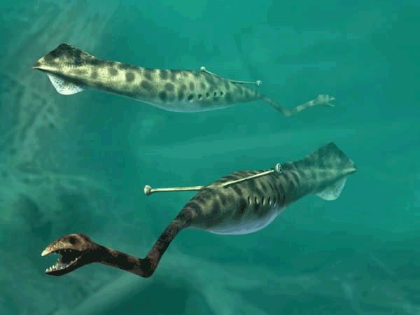 The Tully Monster: The Height of Nature's Creativity