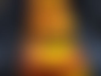 SOUTH INDIAN STYLE GRILLED PANEER