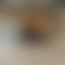 Nouveau pont roulant