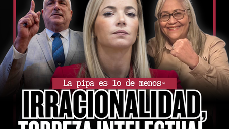 Irracionalidad, Torpeza Intelectual y Fuego a la Jicotea~