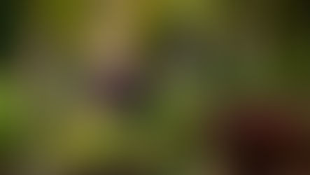 ¿Un locutor que quiere hablar menos?