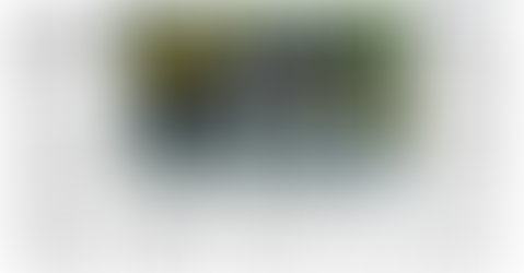 Un week-end à ne pas manquer à Luzinay !