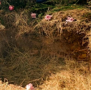 Stag Direct Cremations. Low cost cremations. Ashes ceremony ideas.