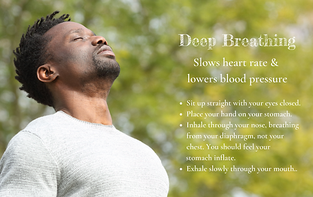 Stag Cremations Low Cost Funerals