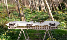 Stag Direct Cremations Oseberg Cradle Bellacouche plain.jpg