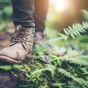 Stag Direct Cremations. Ashes ceremony ideas. Funeral.