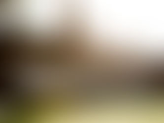 GROUND // Stade du Vivier d'Oie - Racing Club de Bruxelles