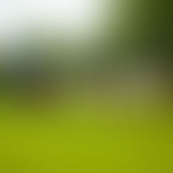 GROUND // Stadion Heienbeek - VK Veldkanteva's