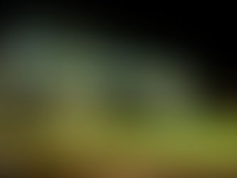 GROUND // Oscar Van Kesbeeck Stadion - Racing Mechelen