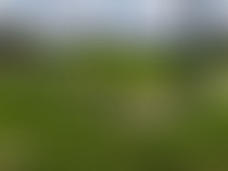 GROUND // Burgemeester Van De Wielestadion - KMSK Deinze