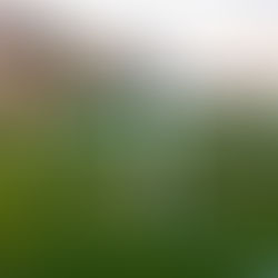 GROUND // Eisenhowerstadion - KV Bonheiden