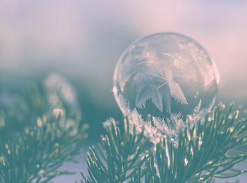 I thought we were done with frozen bubbl