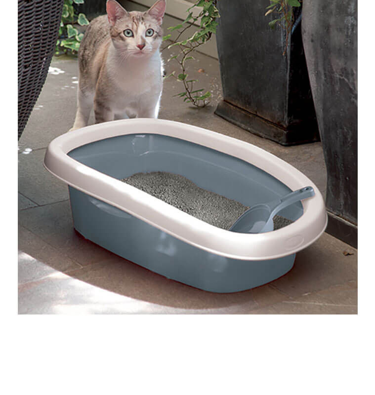 Miniature : Bac à litière