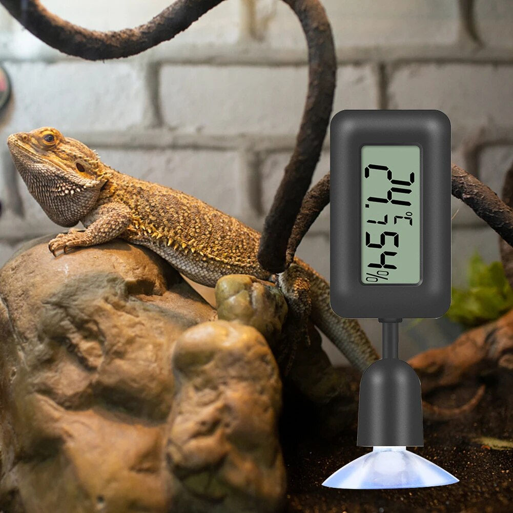 Thermomètre numérique