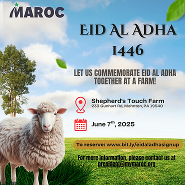 pierre-chatel-innocenti-Lk-nu_hX6ms-unsplash 2.png