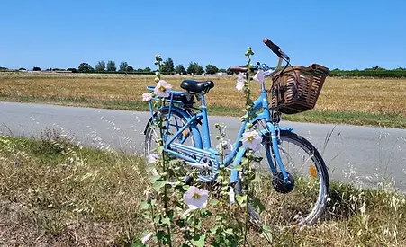 l'Ile de Ré a Velo.webp