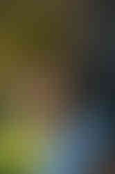 Photographie Pau / Portrait Pau