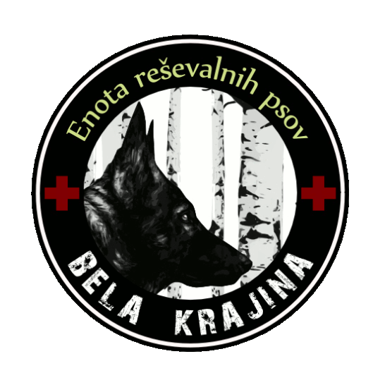 Jani logo original - 2.gif