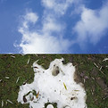 20101212-48°48'16.33'N-2°14'21.83'E.jpg
