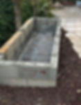 IMG-20240219-WA0197