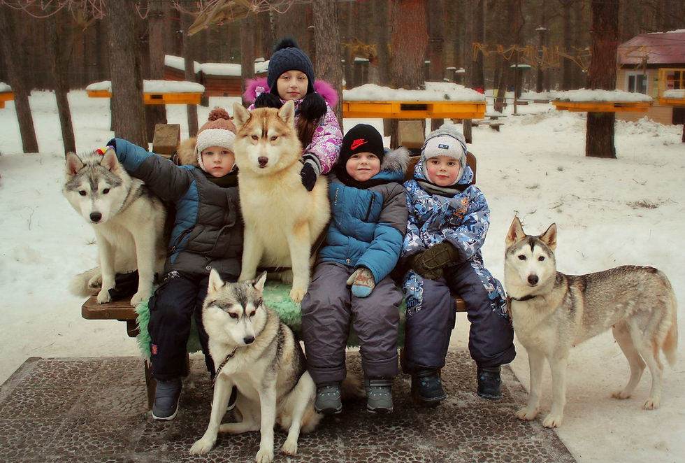 классные фотографии с животными
