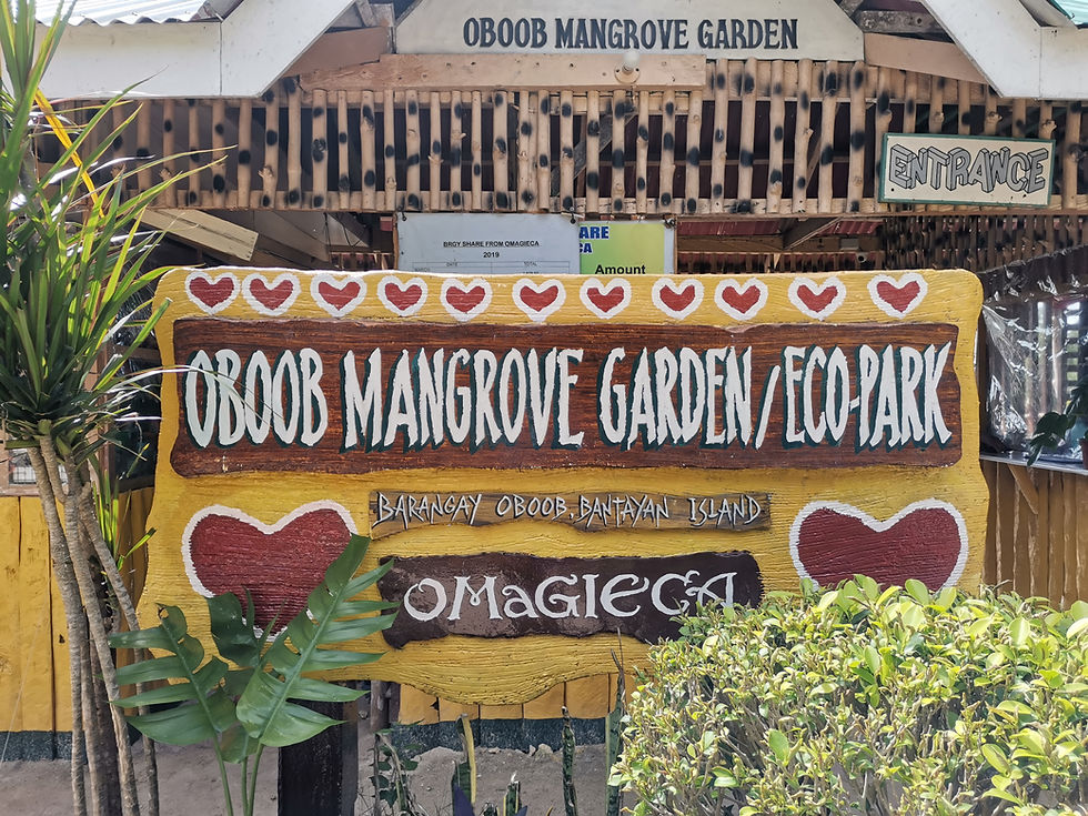 Mangrove