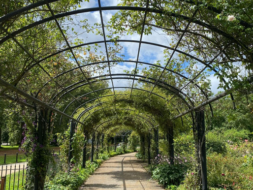 How to Plan a Garden That Thrives Year-Round