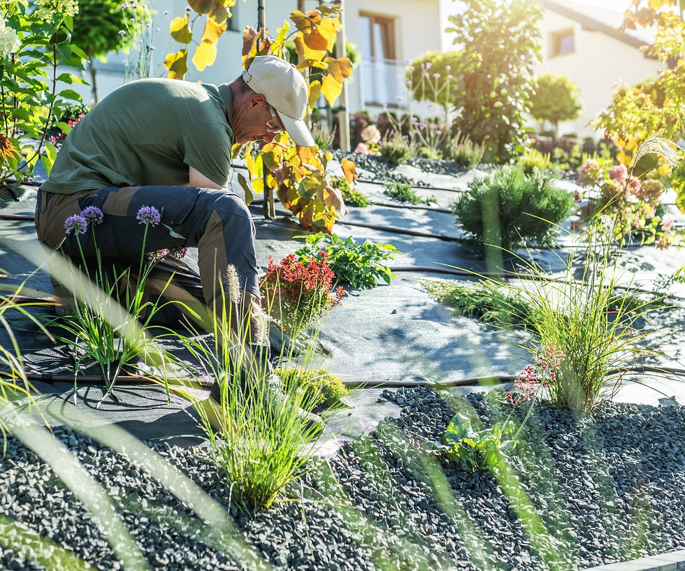 The Real Cost of Neglecting Garden Maintenance