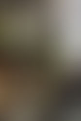 Traditional Christmas House 