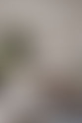 Comfort and Positive Energy Corners