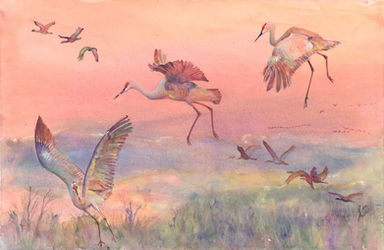 01M CRANES AND SUNSET