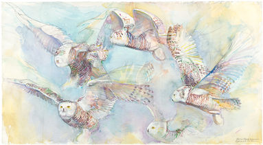 01F SNOWY OWL MOVEMENT