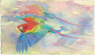 30 COSTA RICA Scarlets