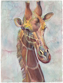 Giraffe Head