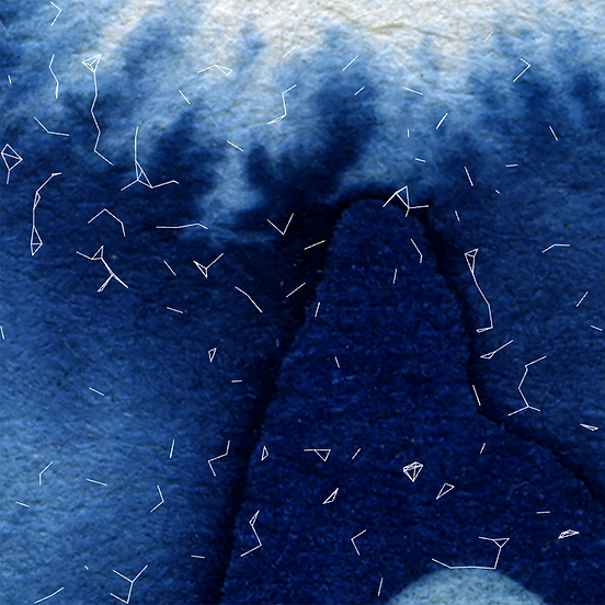 cyanotypeanimation.png