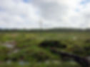 view from the bear hides at Boreal Wildlife Centre