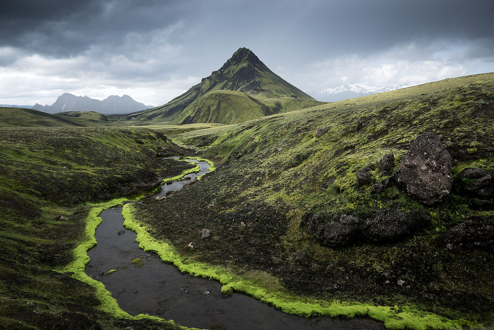 Amazing moss lining the glacial meltwater stream, with the magnificent Stórasúla volcano in the background.