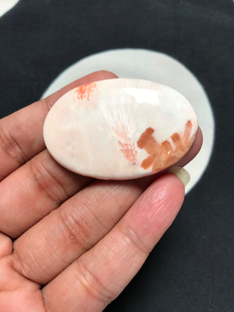 Miniatura: Scholarsite Cabochon 1 Piece Size 46 MM Approx