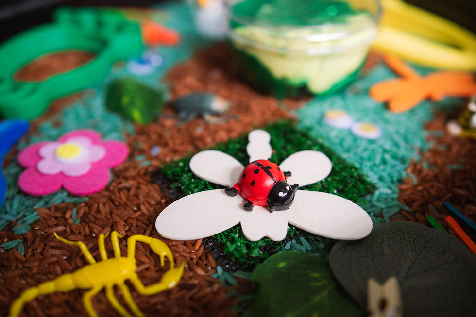 Thumbnail: Interesting Insects