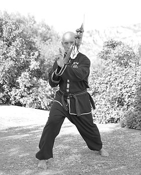 Thanh long đao (hallebarde)