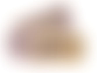 EL ROL DE LOS OPERADORES Y ARRENDATARIOS EN LA ACCESIBILIDAD