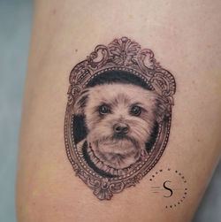 photo_2026-03-16_23-12-29